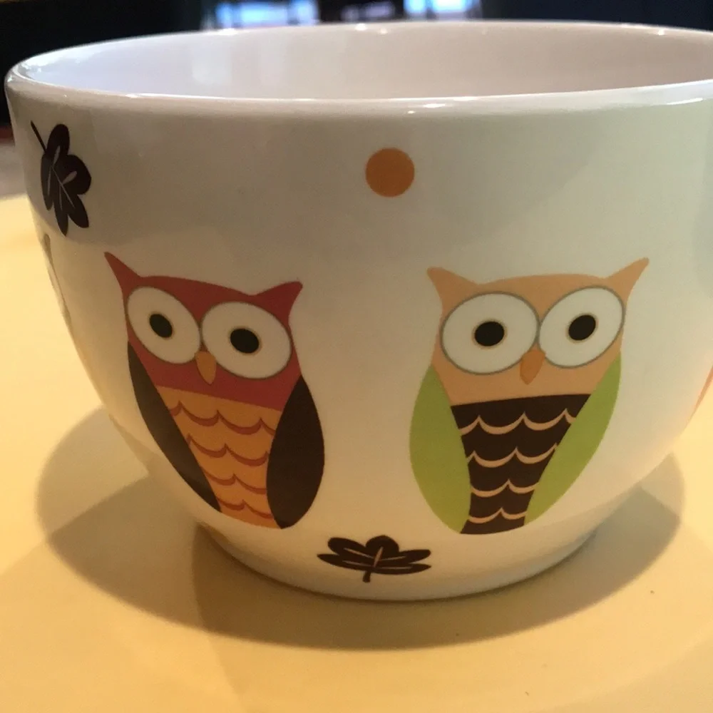 Pier 1 Bowls Hand Painted Earthenware Owl Bowl & Red Bowl